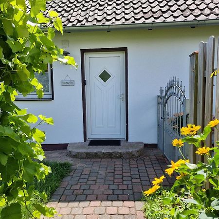 Feel-Good Apartment Close To The City Reppenstedt Exterior foto